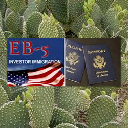 EB 5