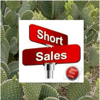 Short Sales